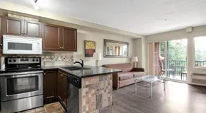 Borgata Lodge Resort - Image 3