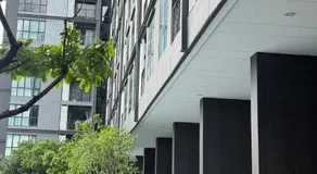 the base - Image 4