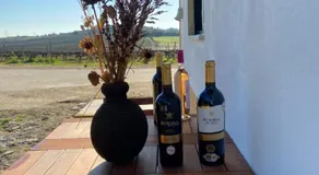 Quinta Monteiro de Matos - Enoturismo - Image 5