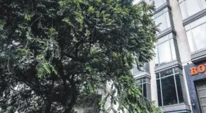Hotel Royal Grand - Opposite Axis Bank East Patel Nagar - Image 4