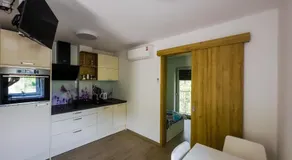 APARTMAJI SILVA - Image 5