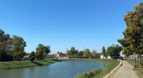 Georg - Image 4