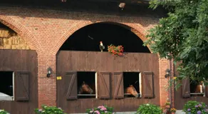 Agriturismo Cascina Nuova - Image 4