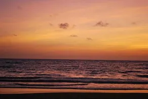 The Palm View - Image 1