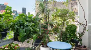 Casa Itzae B&B Polanquito Dog Friendly - Image 4