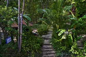 Lost Resort - Image 5
