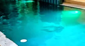 Sonho de verão - Image 4
