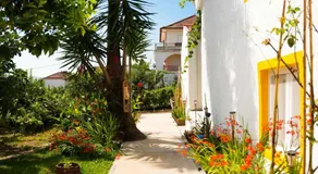 Quinta do Chafariz - Image 4