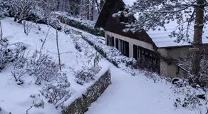 Camp paradis - Image 5