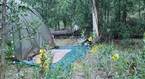 Tannenhof Camping Ground - Image 5