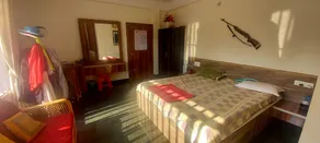 Tigers home stay - Image 2