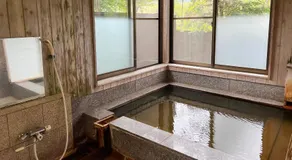 irodori - Image 4