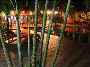 Wailoaloa Beach Resort - Image 5