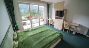 Hotel Rakitna - Image 2