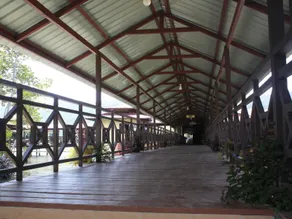 Mangrove Paradise Resort - Image 4