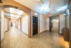 Gimcheon Ventian - Image 4