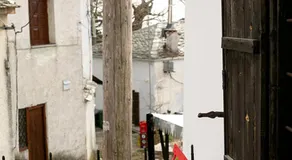 The Pelion Manifesto 2 - Image 5