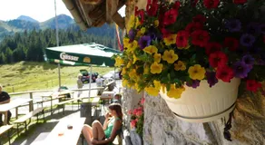 Straniger Alm - Image 3