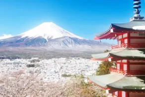Erable Mt.Fuji "Zen" - Image 3