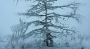 Au Coeur La Roche - Image 3
