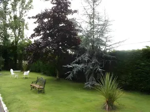 Shannon Breeze B&B - Image 5
