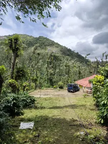 Walkwild - Image 4