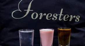 Foresters arms - Image 4