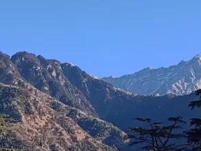 Chinar Residency Dharamshala Himachal Pradesh - Image 5