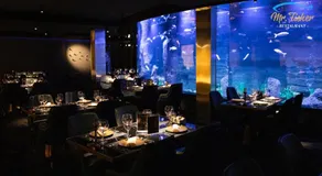 Hotel Diamond Prishtina - Image 2