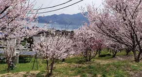 Hitotsuru Setouchi Glamping - Vacation STAY 68977v - Image 5