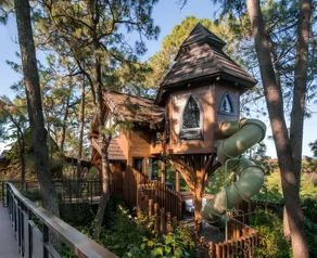 YUNTUN STARRY SKY TENT HOTEL - Image 5