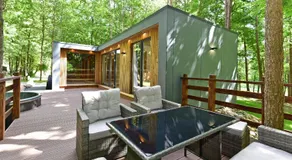 Forest relax - Image 3