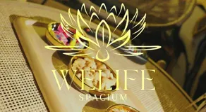 Welife SPACIUM - Image 5