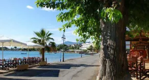 An Edens Garden Near The Sea - Pansion Youli - Image 3