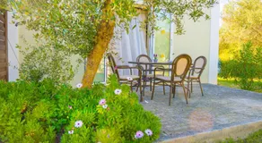 Olive Τrees Garden - Image 3