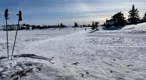 Koselig, lita hytte på Aurdalsåsen ved Danebu - Image 5