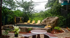 The Jungle Container - Image 2