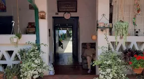 Mi Ranchito, Centro - Image 3