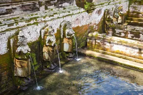 Villa Uma Dangin - Image 2
