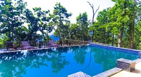 Blue Pine Orchards - Image 3