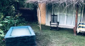 Peacock Heaven - Image 4