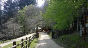 Camping Camaldoli - Image 5