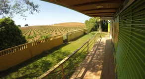 Huerta La Cansina - Image 3
