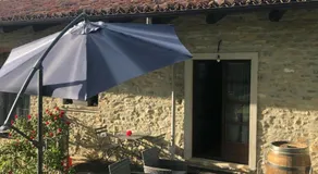 Cà Tinola - Image 3