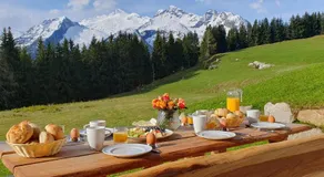 Filzsteinresort Chalets - Chalet 235 - Image 5