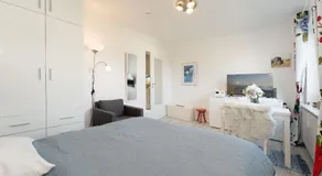 Steffis Vogelnest - Image 2