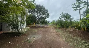 GreenHaven Family Stay - Image 4