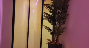 Paradise Suites Madrid - Image 3
