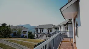 Abad Silver Mist - Image 5