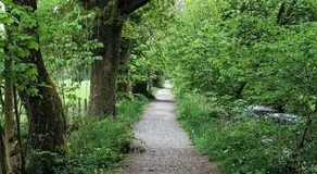 Fox Cottage - Image 4